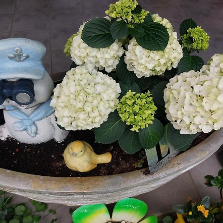 Queen House Apartman زغرب المظهر الخارجي الصورة