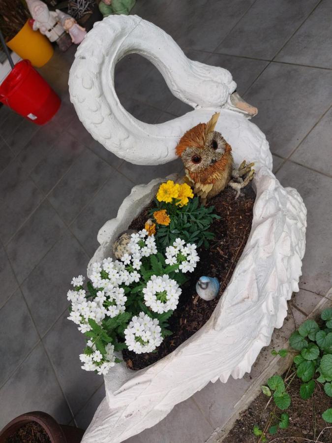 Queen House Apartman زغرب المظهر الخارجي الصورة